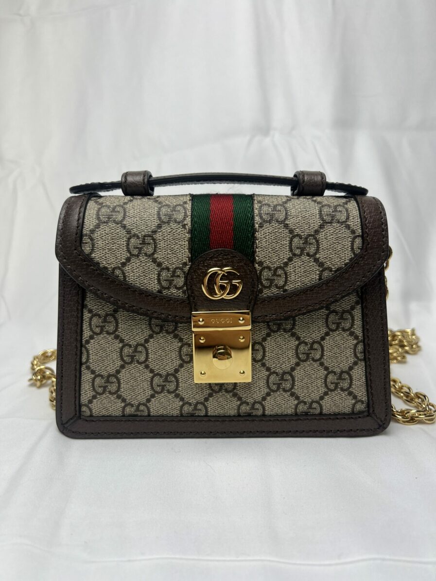 Gucci Mini Ophidia