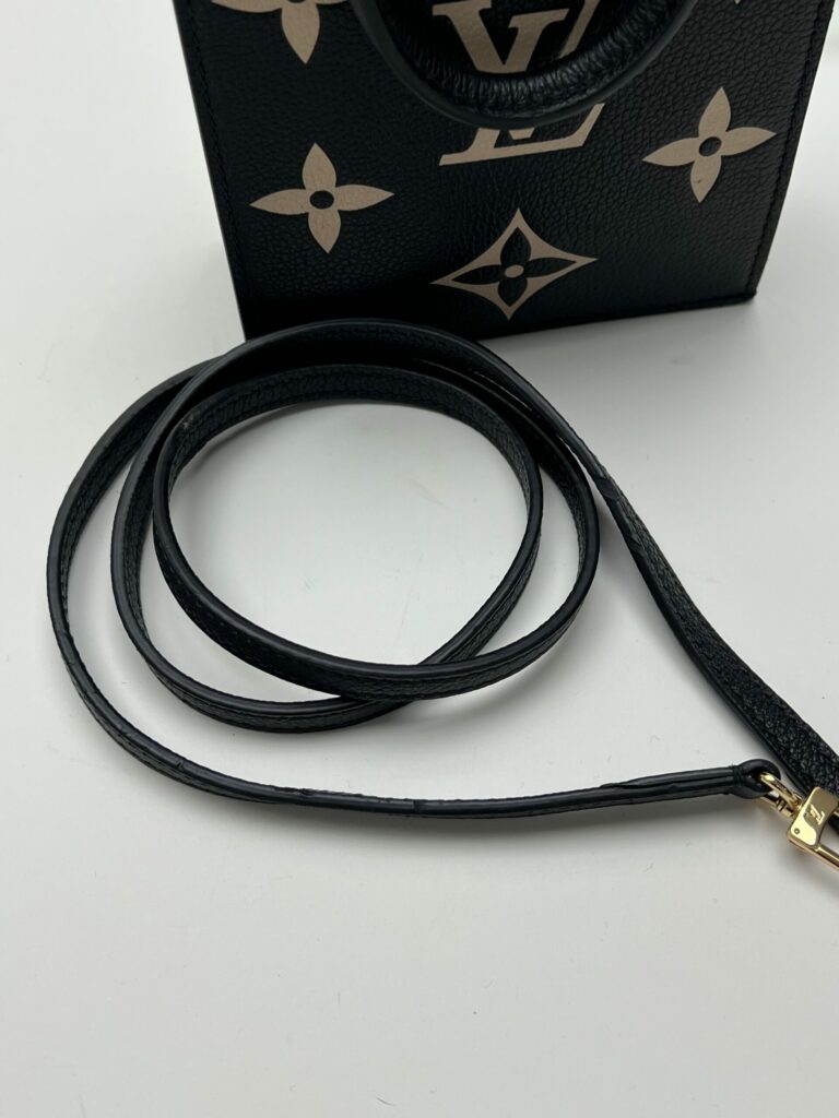 accessori Louis Vuitton Petit Sac Plat 2020